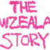 The NewZealand Story Arcade Game